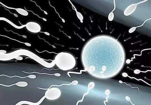 厦门助孕包性别|北京供卵三代试管成功率高吗,5个基础卵泡三代试