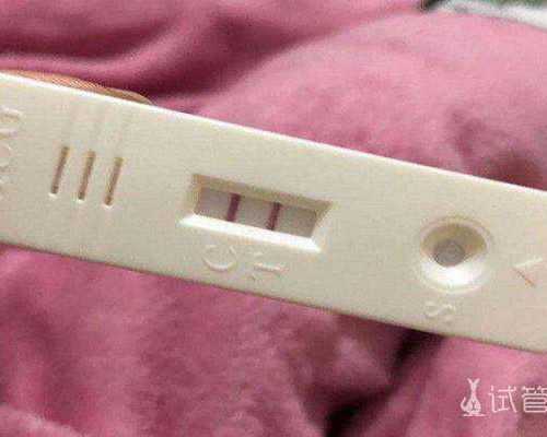 私人代孕网,珠海试管助孕生子助孕机构多少钱