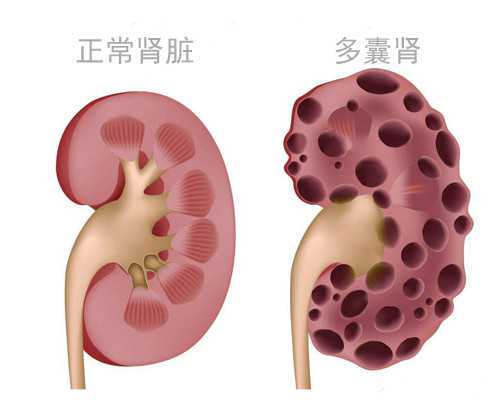 51宝贝助孕怎么样|2026
杭州供卵的私立机构排名,附供卵三代试管生男孩费用