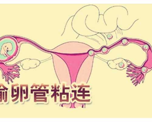 私立借卵中心,北京供卵公司(深圳助孕)