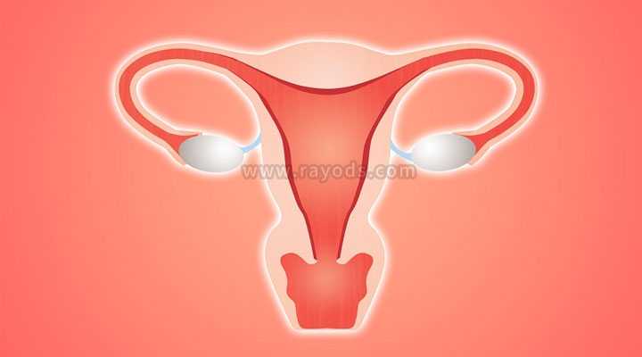 助孕的条件_助孕包成功生龙凤胎多少钱_子宫内膜薄做泰国试管婴儿胚胎移植后
